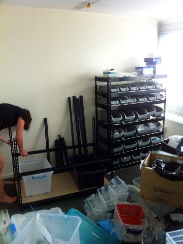 Sim lab: the beginning